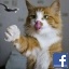 Tasos Soulis