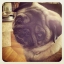 George